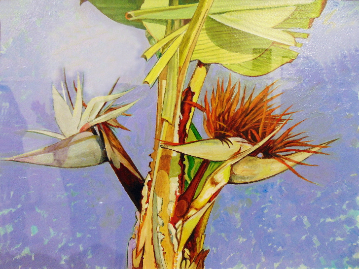 Palm Flower Canam Islands by Jack Parker
