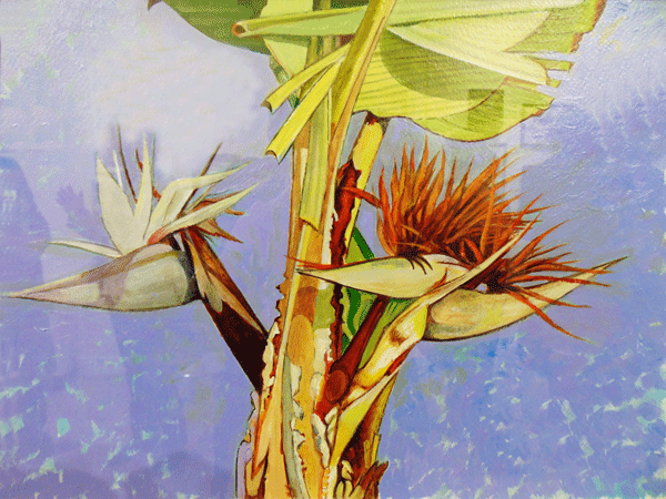 Palm Flower, Canam Islands by Jack Parker