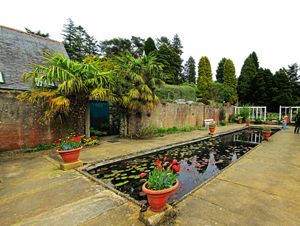 Formal Garden - Lily Pond