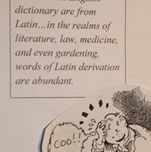Latin for absolute beginners 300